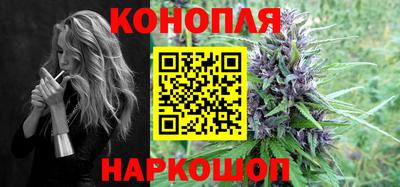 индика Аргун